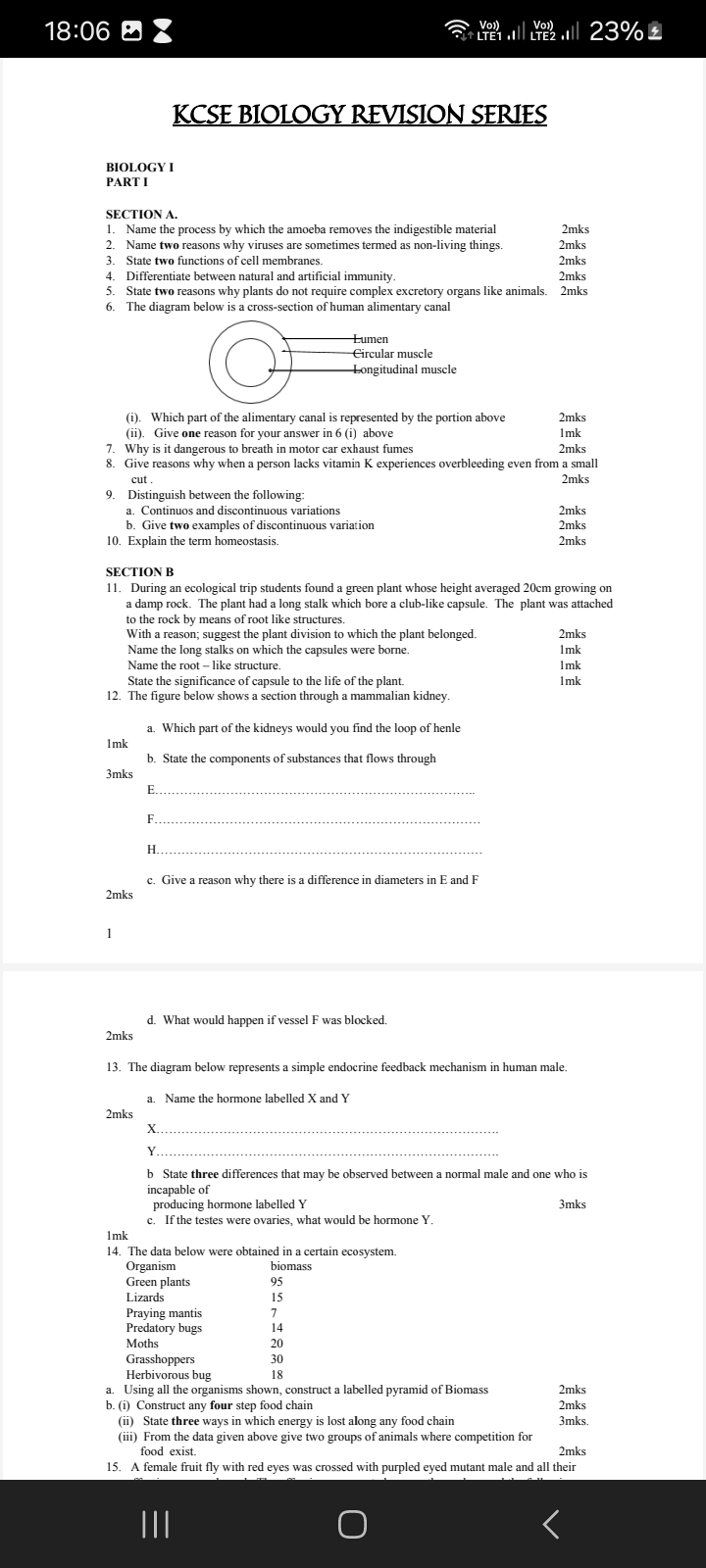 No preview available