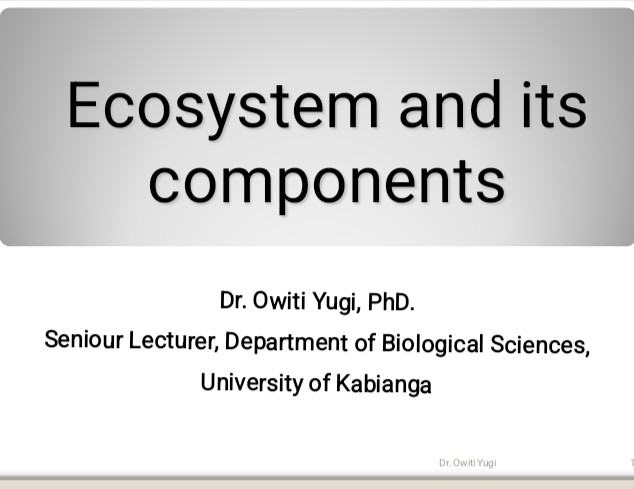 No preview available