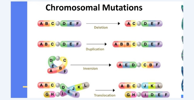 No preview available