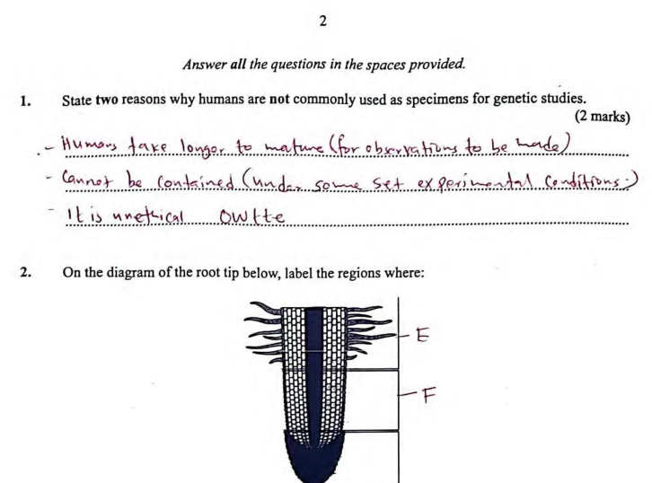 No preview available