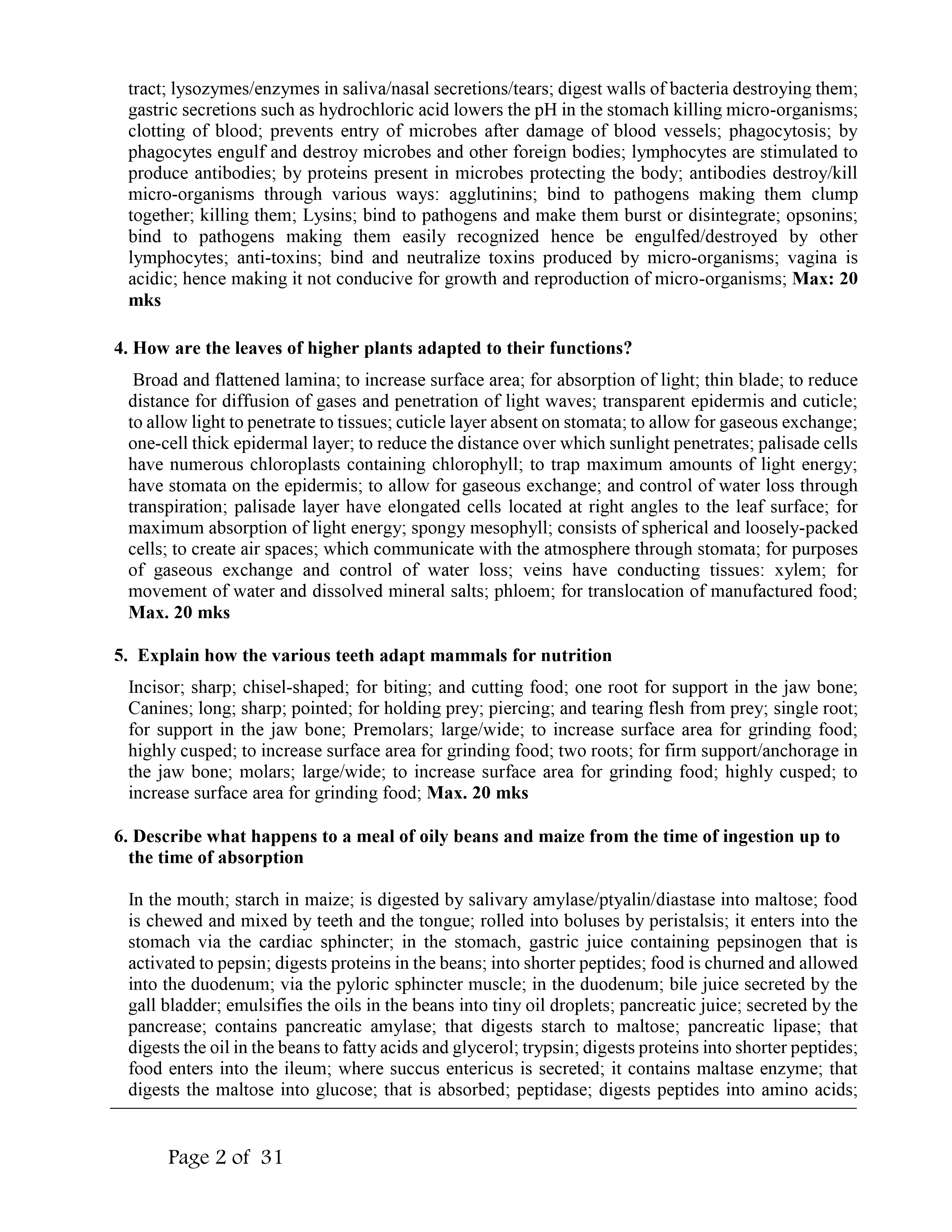 No preview available