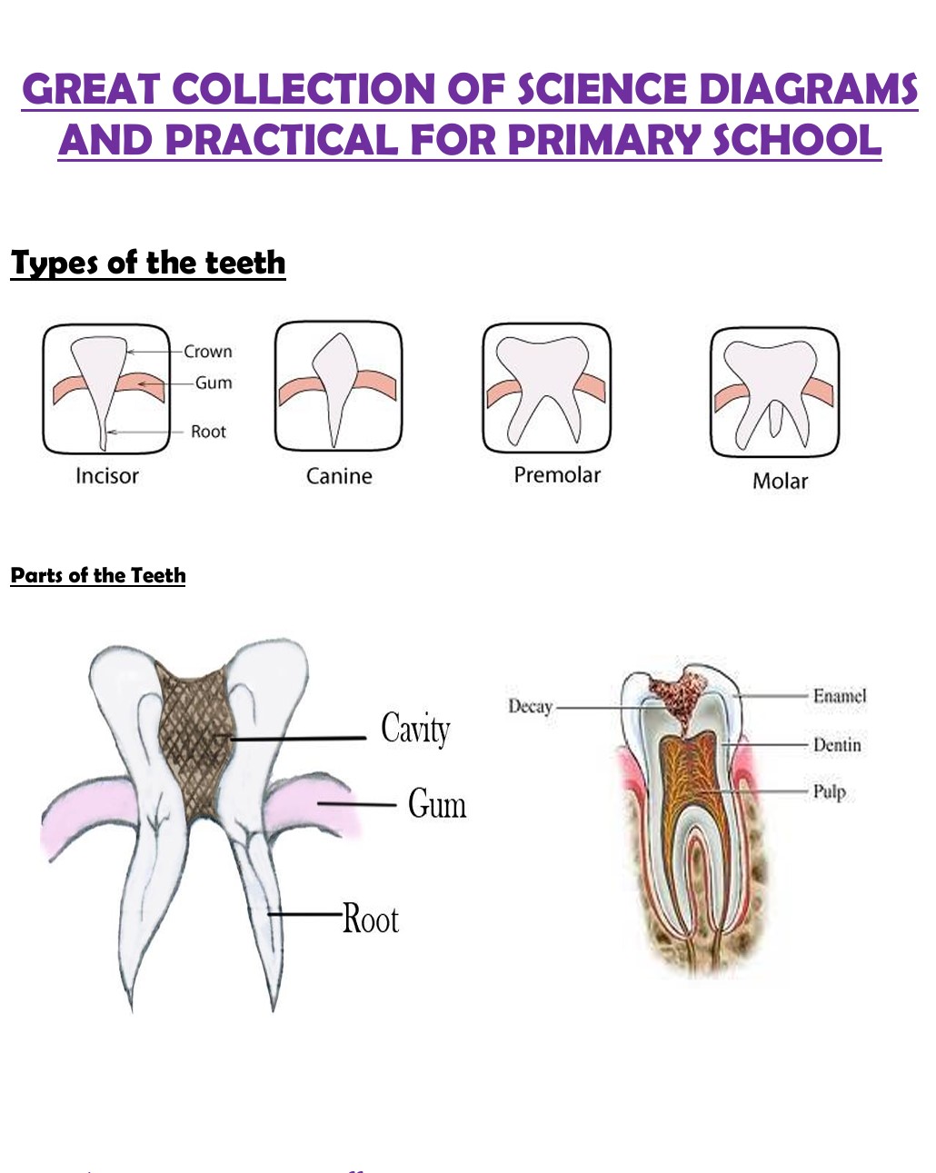 Science Lab Labelled Science Block Notes.co.ke - Education notes in Kenya