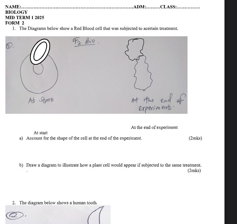 No preview available