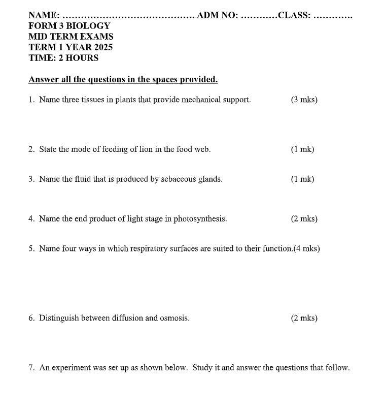 No preview available