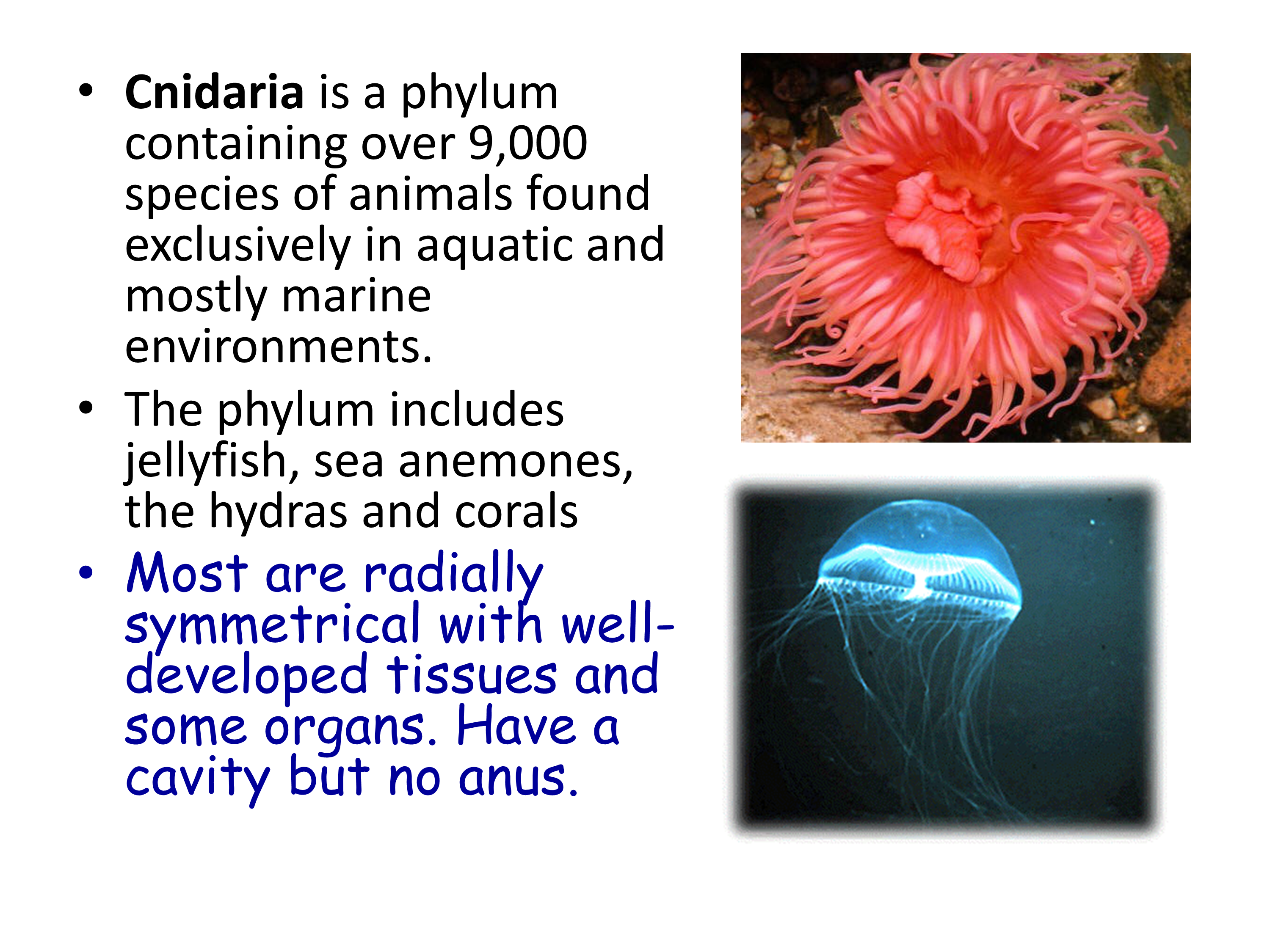 No preview available