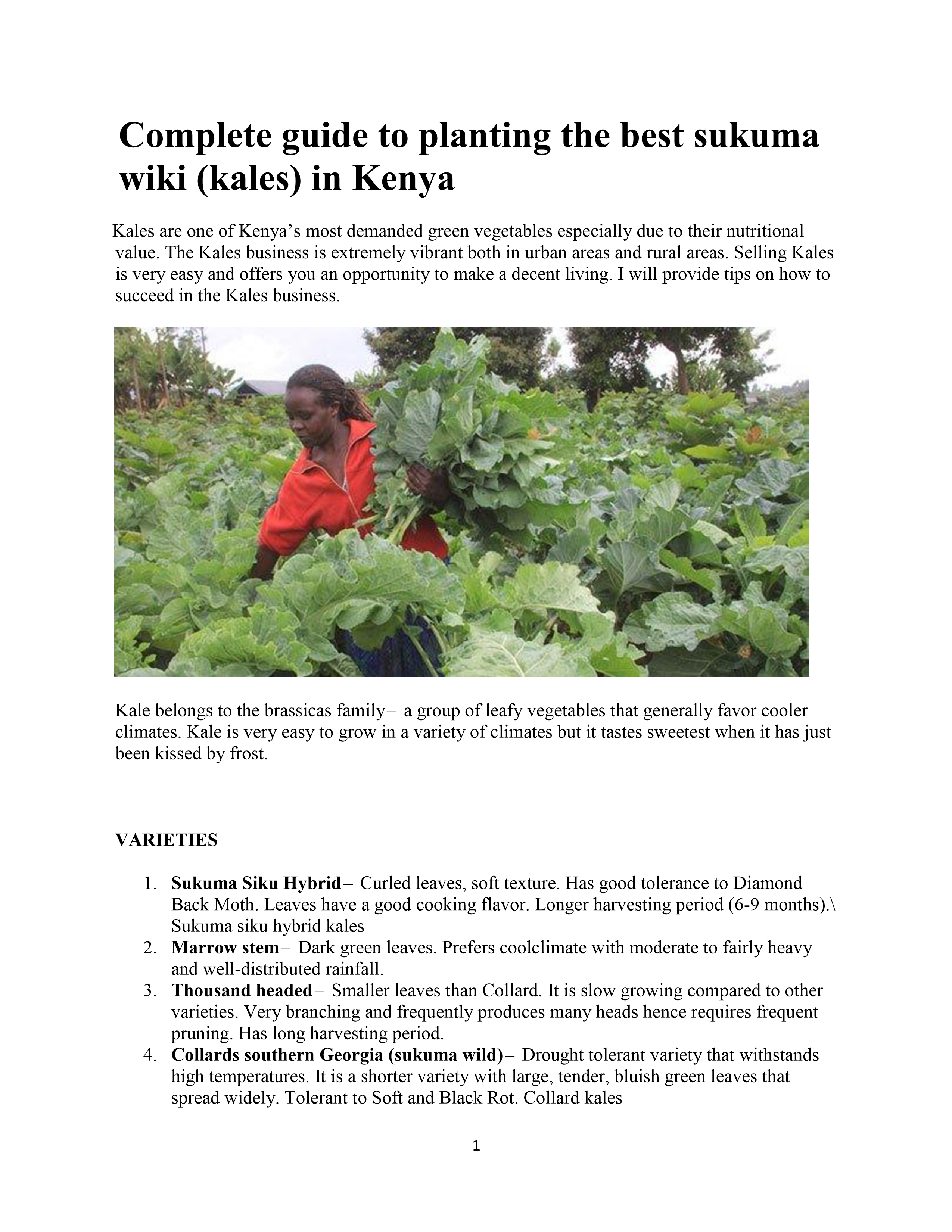 No preview available