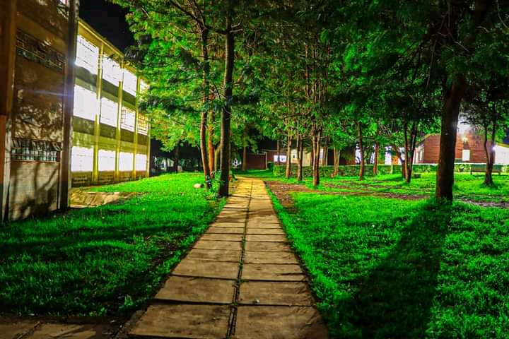 No preview available