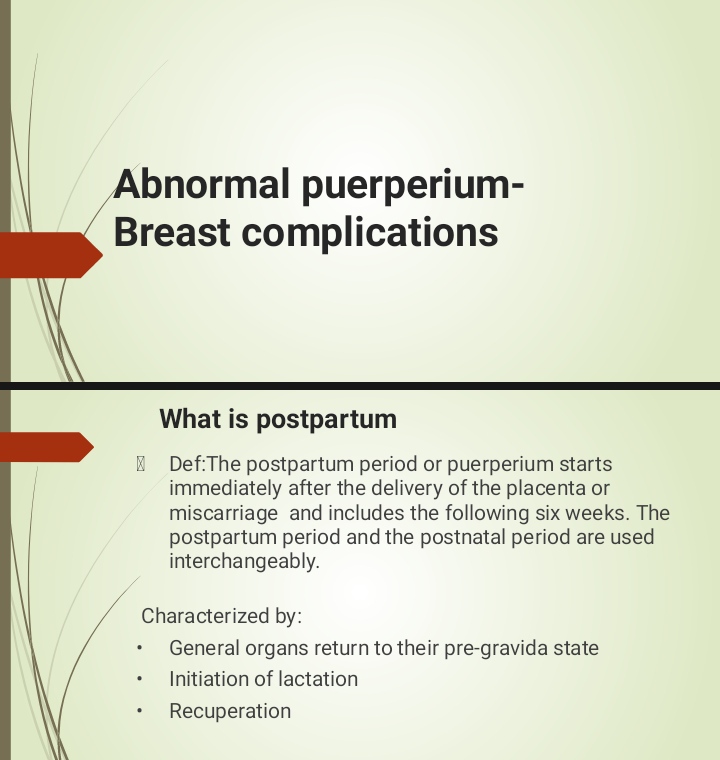 No preview available