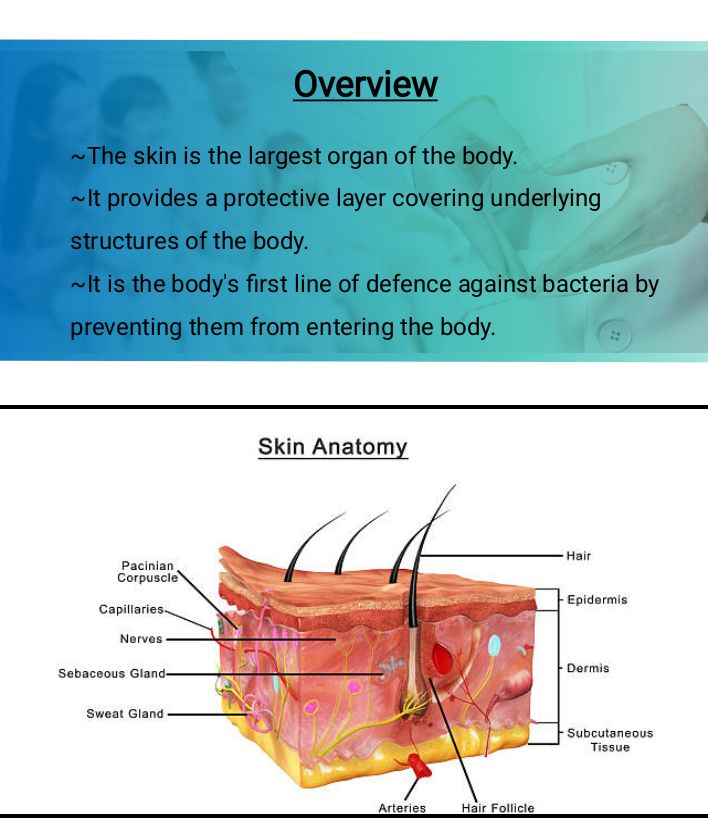 No preview available