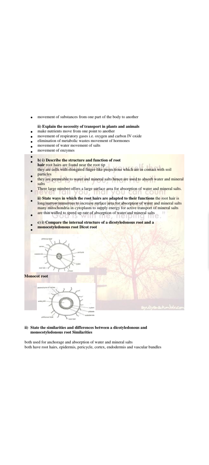 No preview available