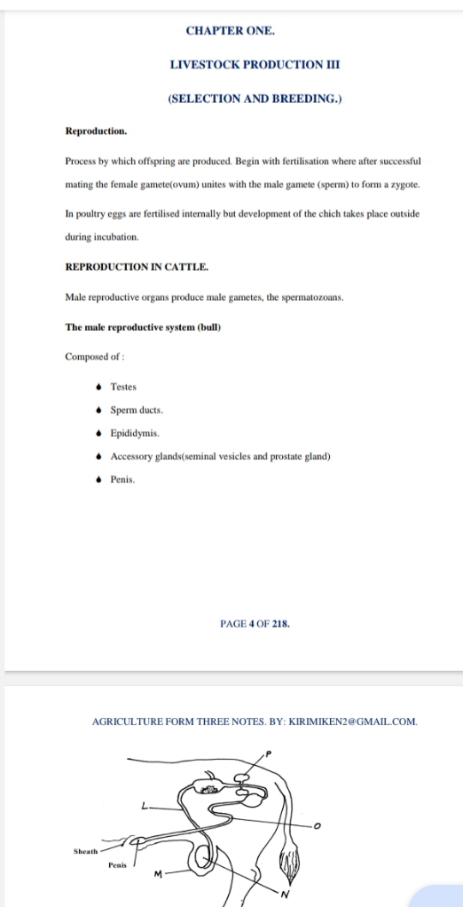No preview available