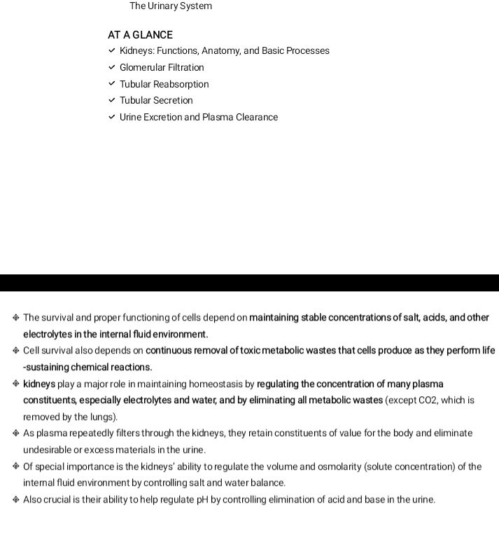 No preview available