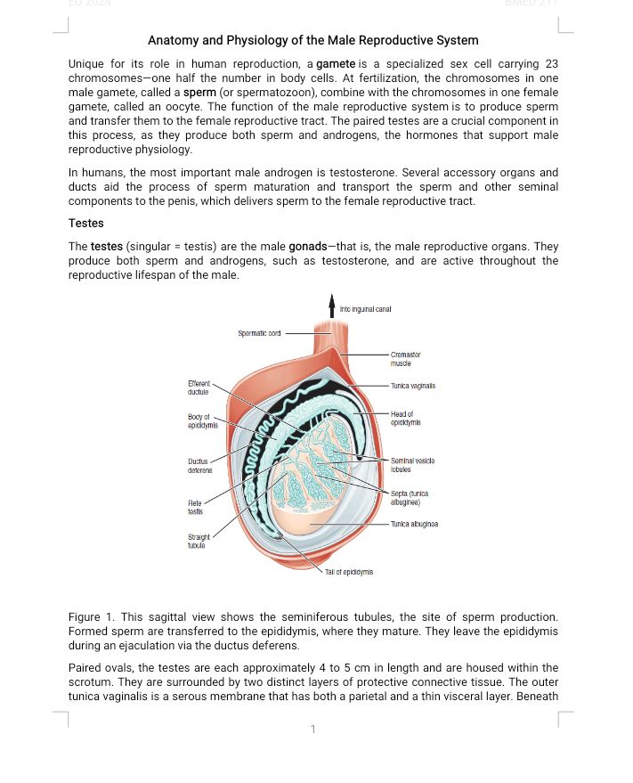 No preview available