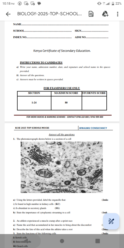 No preview available