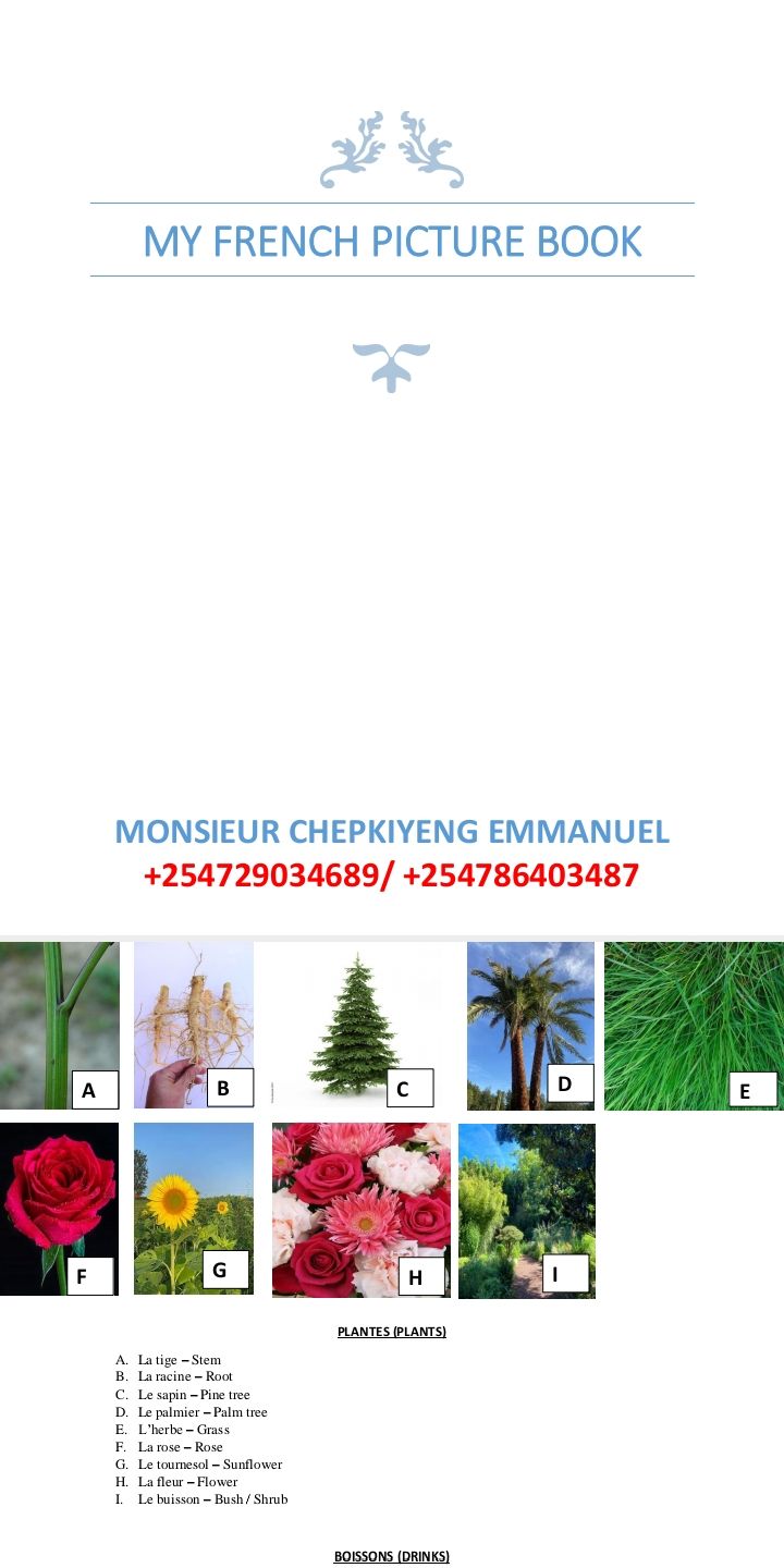 No preview available