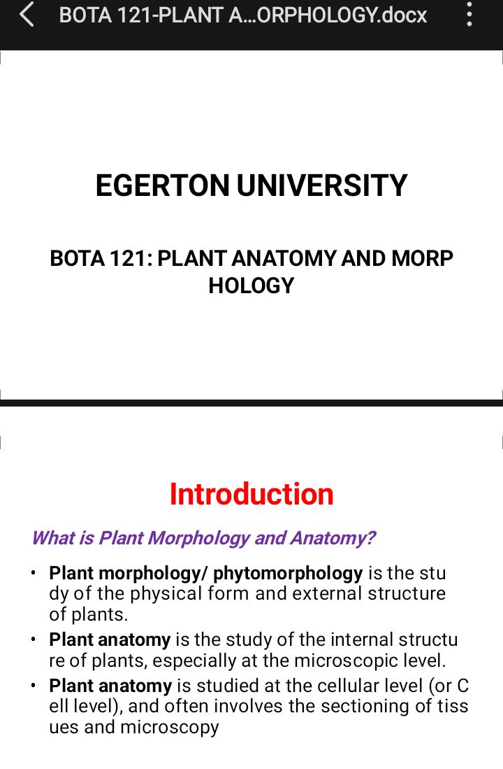 No preview available